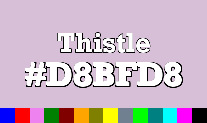 HTML color Thistle hex: D8BFD8
